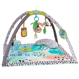 4-IN-1 MILESTONES & MEMORIES TWIST & FOLD GYM™