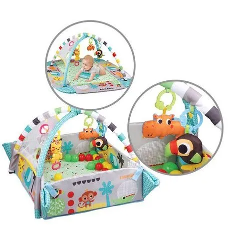 5 in 1 Activity Gym and Ball Pit