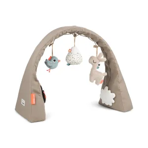 Activity Gym - Lalee Sand
