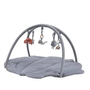 Activity Play Gym - Shell Blue