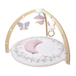 aden   anais Baby Activity Gym (Ma Fleur)