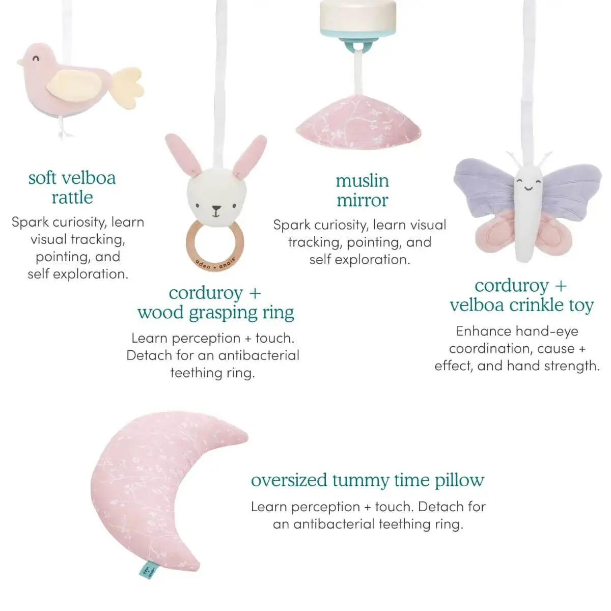aden   anais Baby Activity Gym (Ma Fleur)