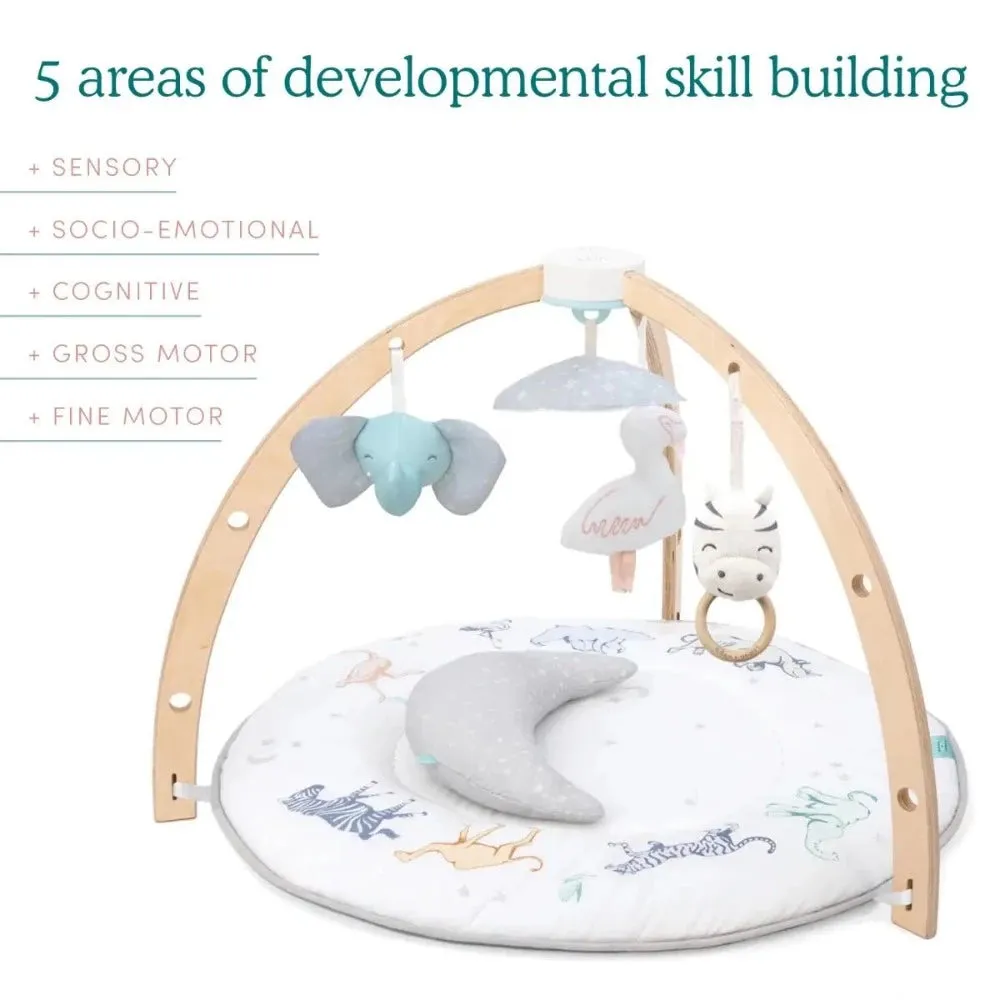 Aden   Anais - Play & Discover Activity Gym