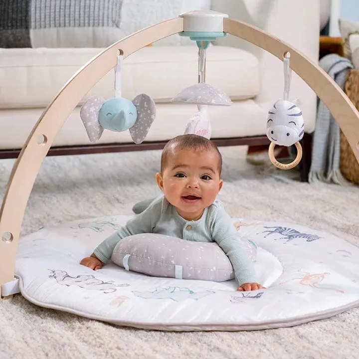 Aden Anais Play and Discover Activity Gym