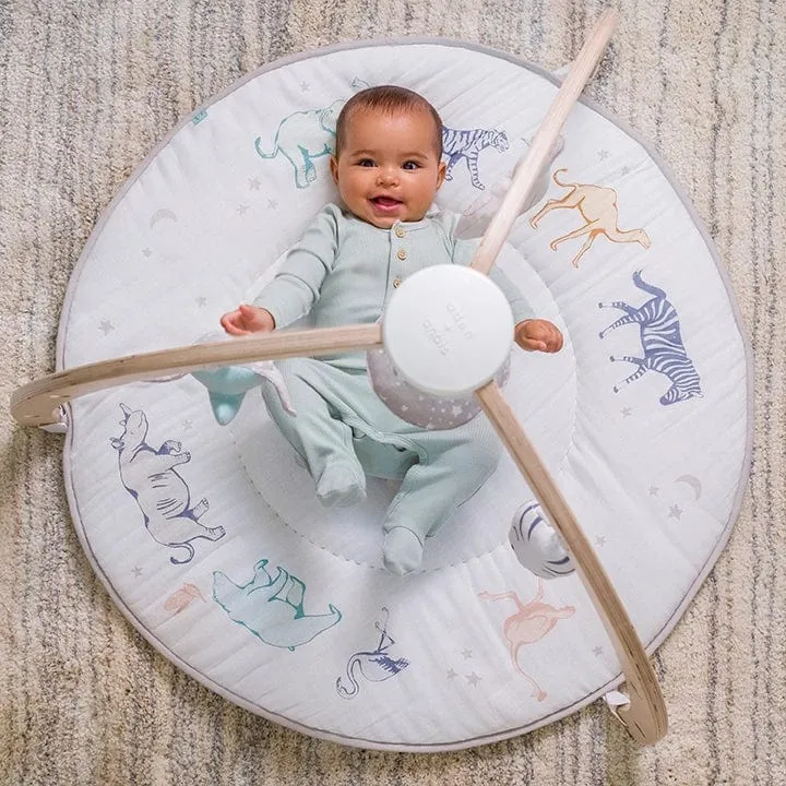 Aden Anais Play and Discover Activity Gym