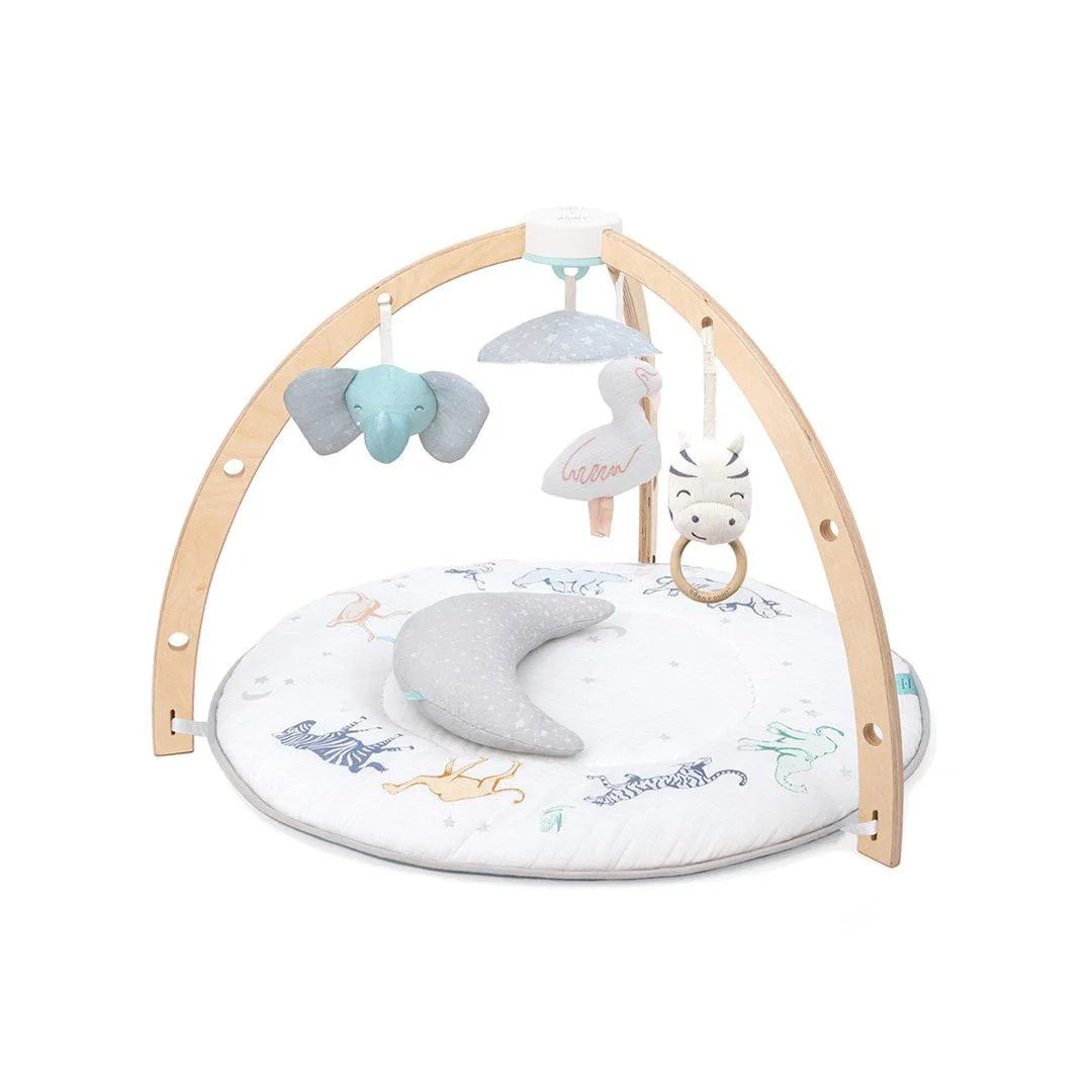 aden   anais Play   Discover Activity Gym - Rising Star