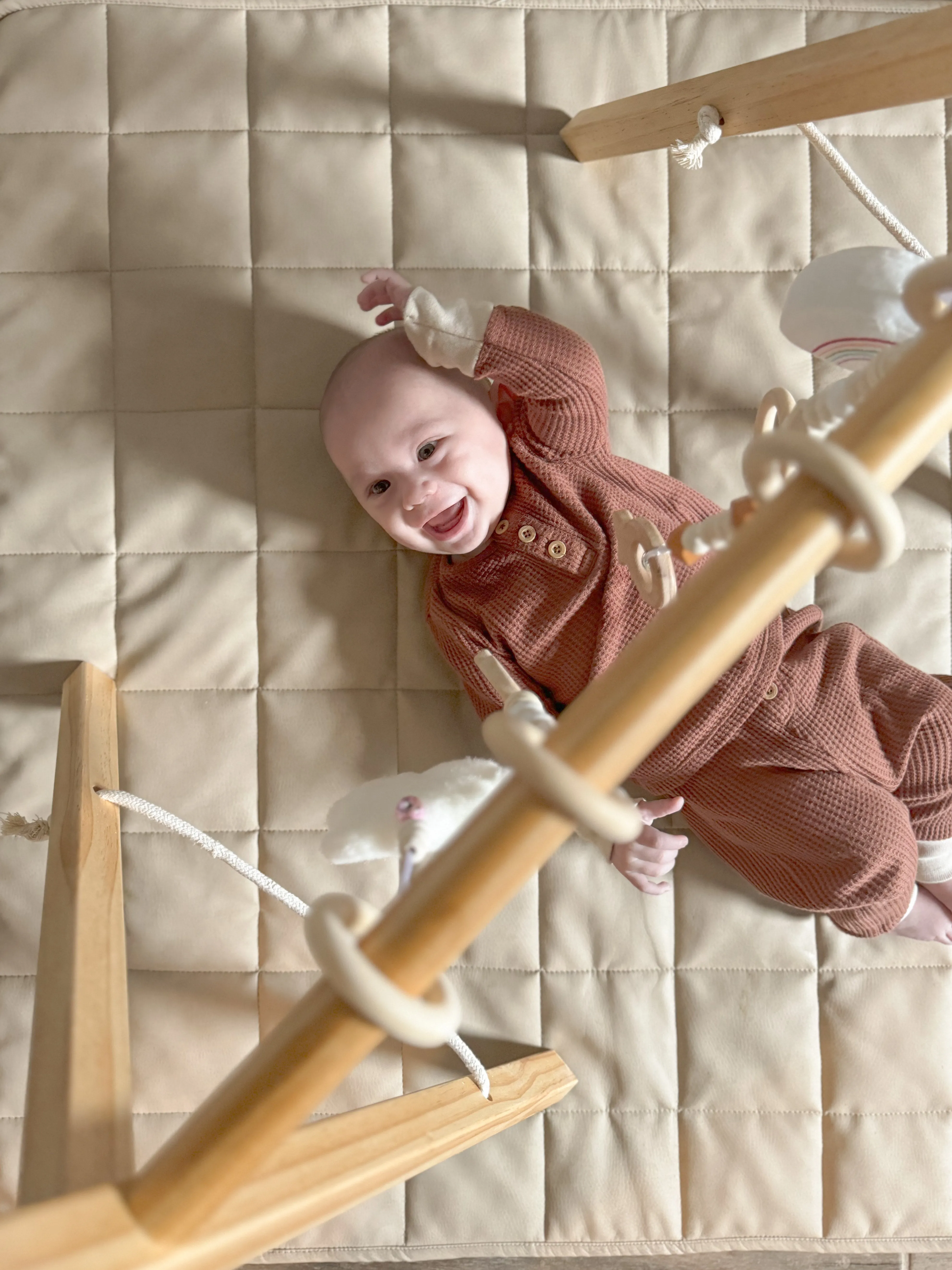 Avenlur Lilac Wooden Baby Gym
