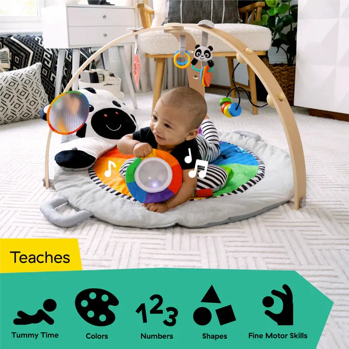 Baby Einstein Zen's Activity Milestones Plush Gym