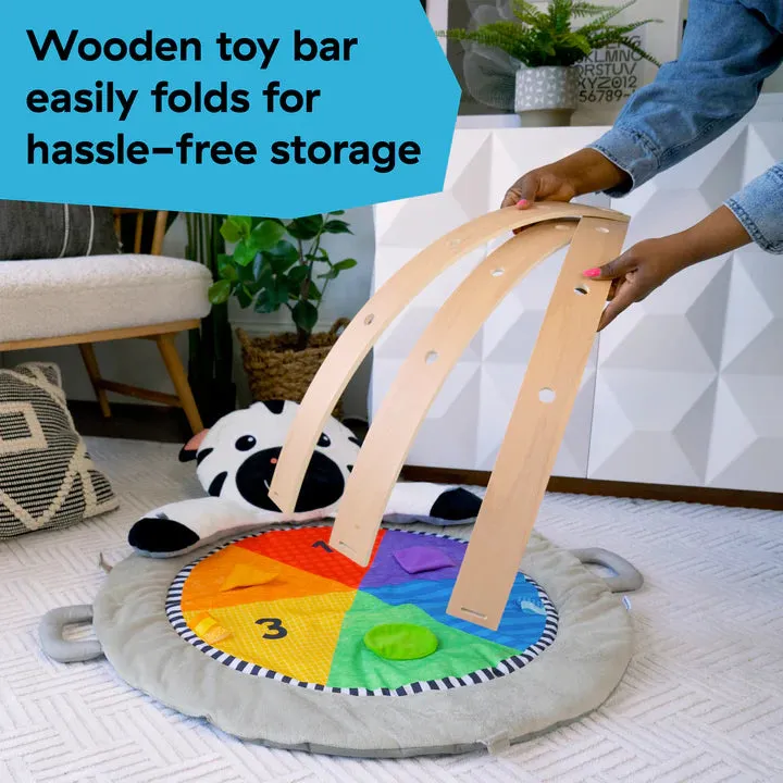 Baby Einstein Zen's Activity Milestones Plush Gym