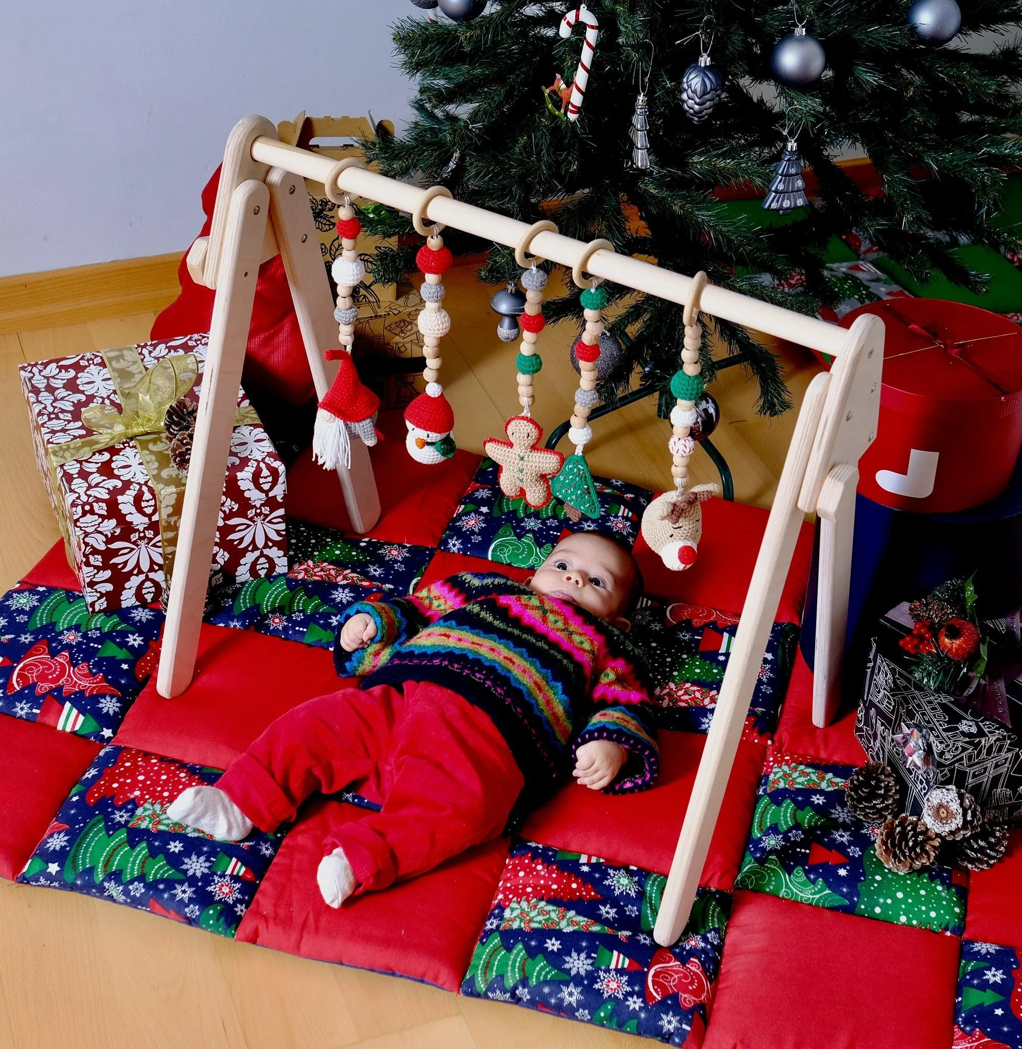 Baby Gym and Hanging Toys