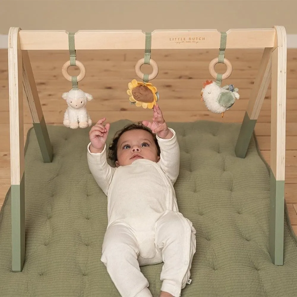 Baby Gym Little Farm