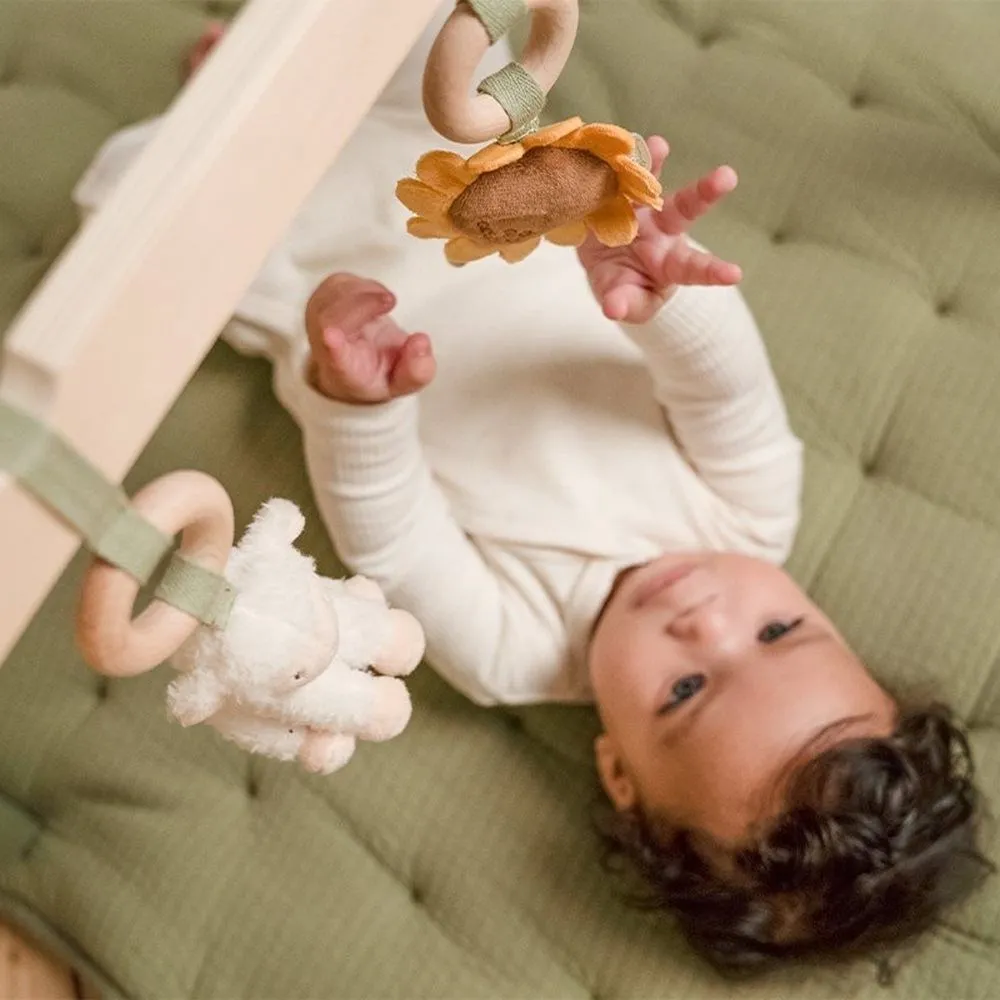 Baby Gym Little Farm