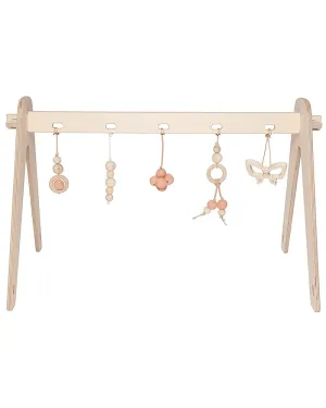 Baby Gym