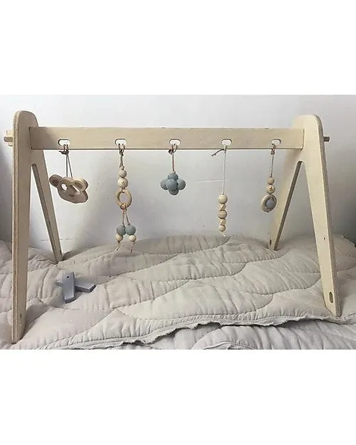 Baby Gym