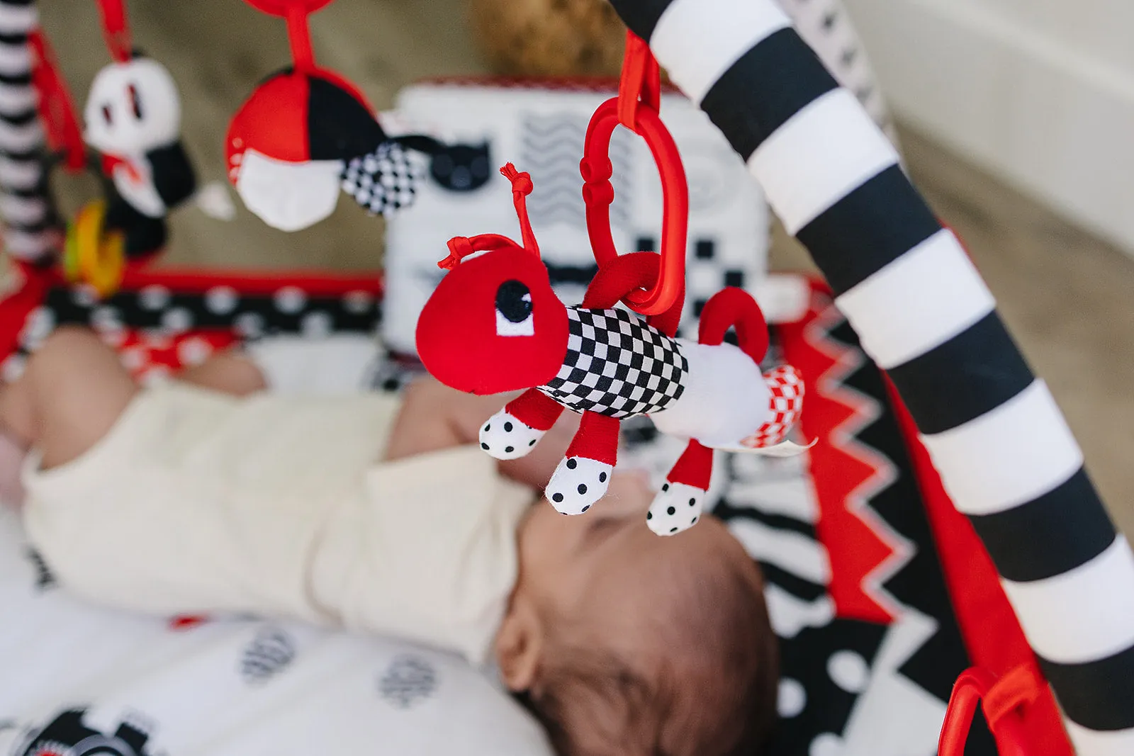 Baby Play Gym and Activity Mat