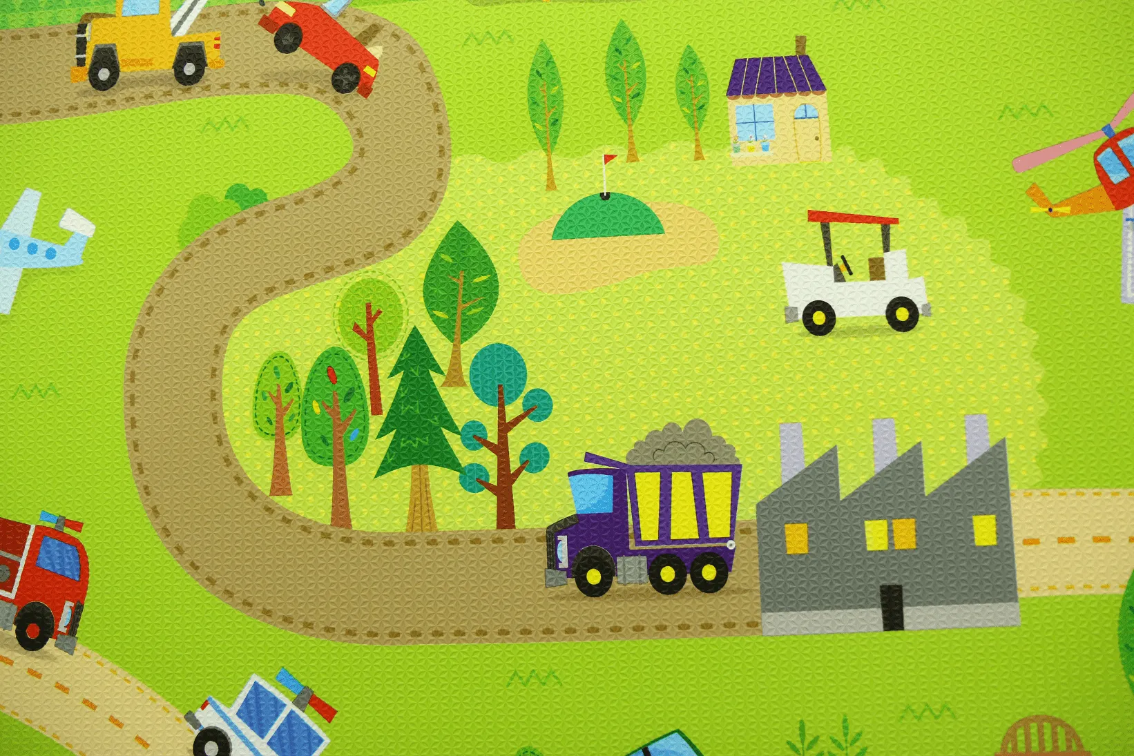 BabyCare Baby & Kids Playmat- Large