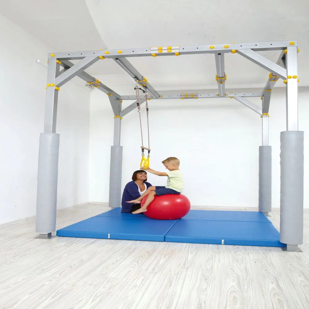 Bar Swing with Trapeze Gym Rings