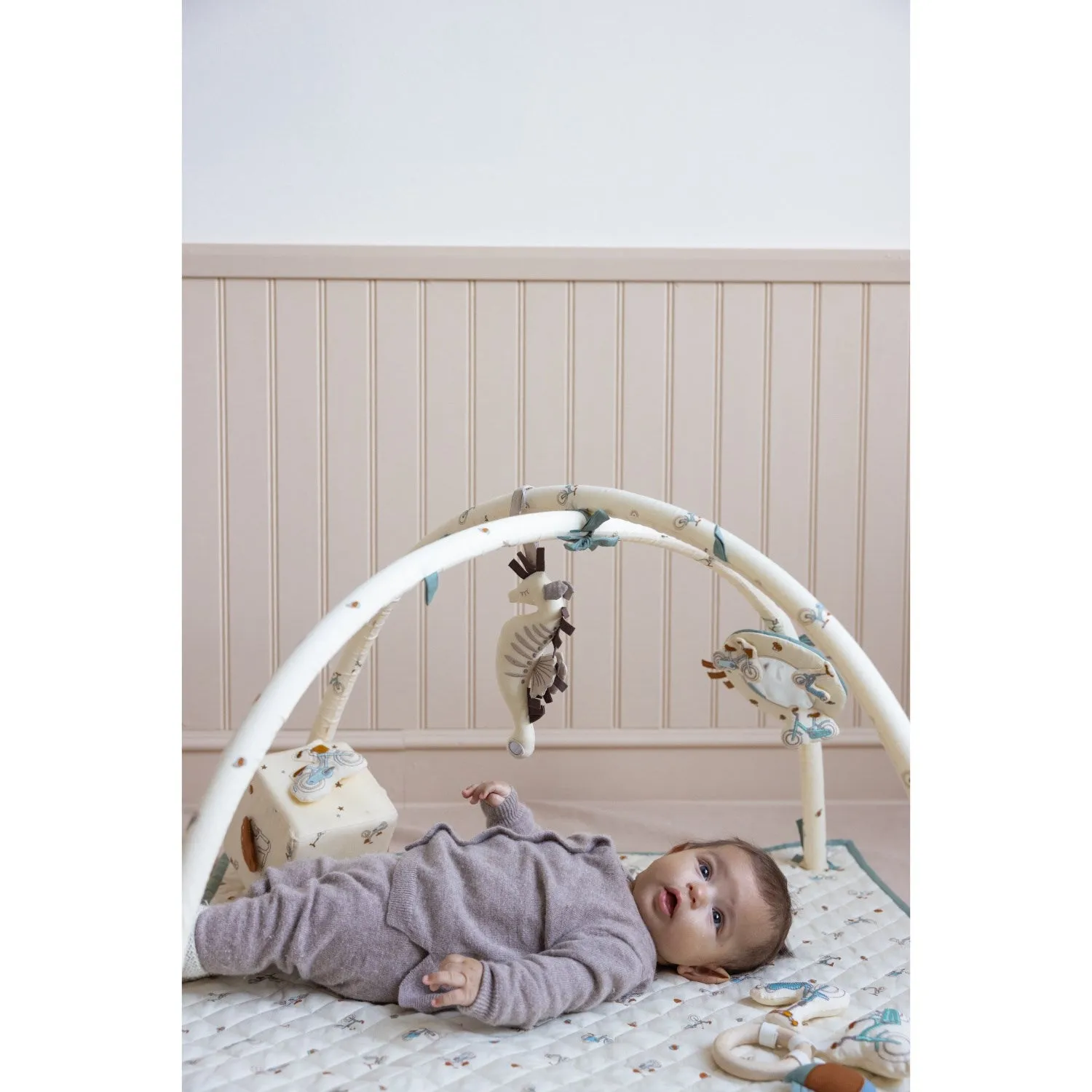 Cam Cam Copenhagen Bicycles Fabric Baby Gym