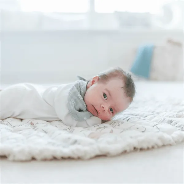 Crane Ezra Quilted Playmat - Woodland