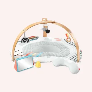 Discoverosity Deluxe Activity Gym