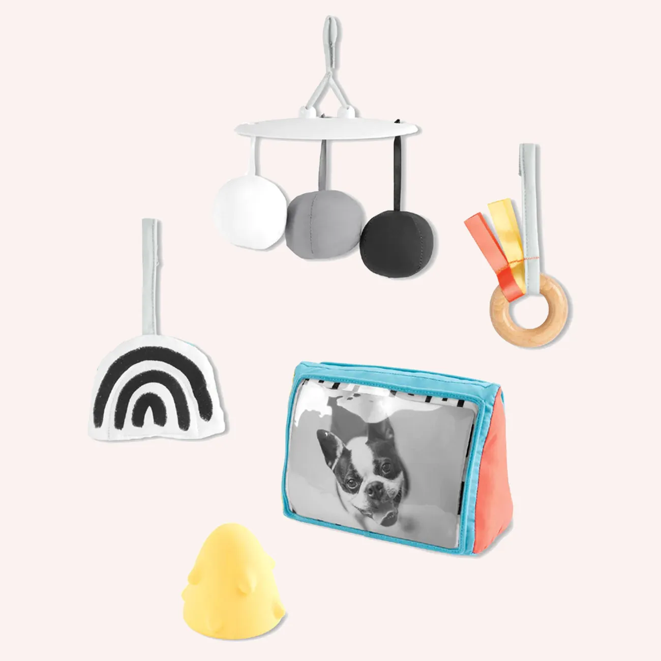 Discoverosity Deluxe Activity Gym