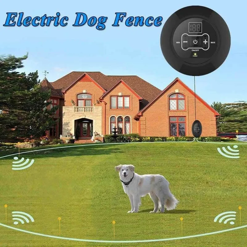 Dog Fence Just For You