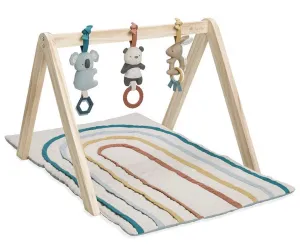 Itzy Ritzy - Ritzy Activity Gym