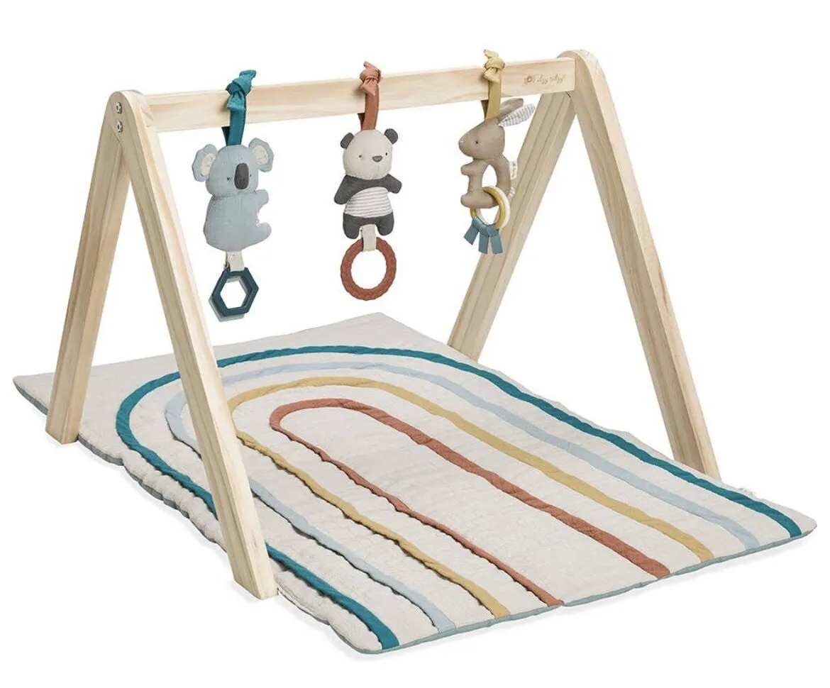 Itzy Ritzy - Ritzy Activity Gym