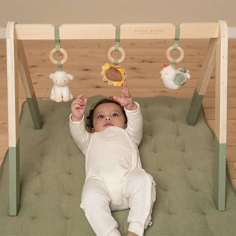 Ld baby gym little farm
