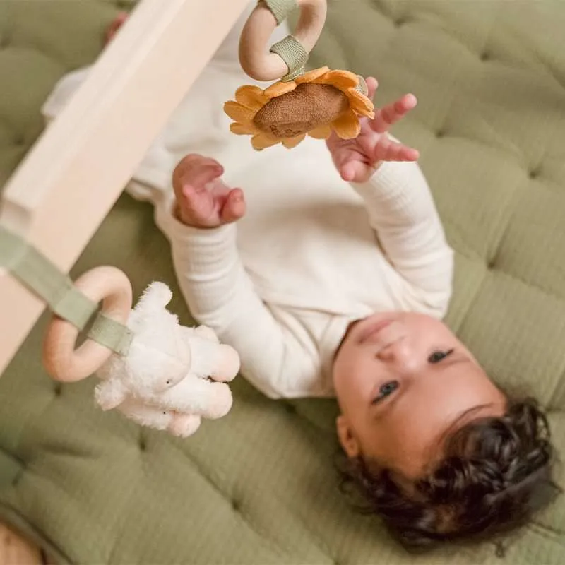 Ld baby gym little farm
