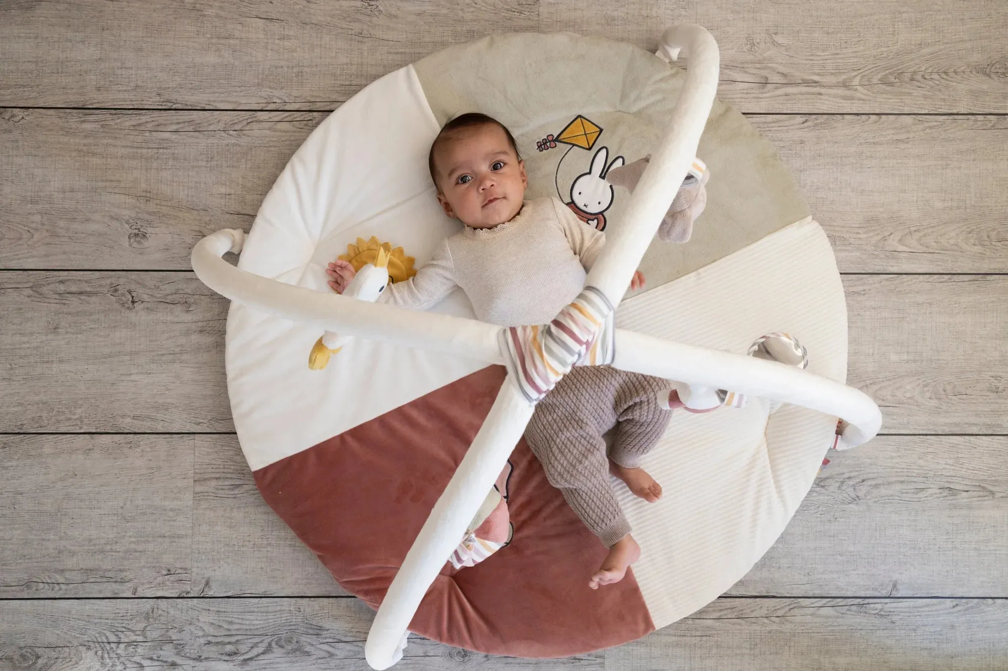 Little Dutch, Activity Play Gym, Miffy Pink