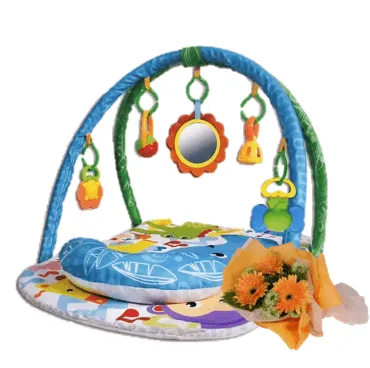 Newborn Baby Play Gym | B254