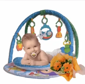 Newborn Baby Play Gym | B254