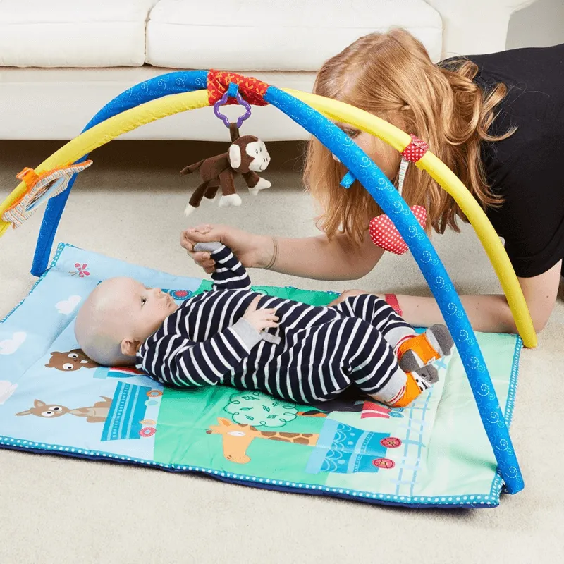 Nuby Play Gym