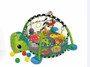 Play Gym with Ball Pit | B232