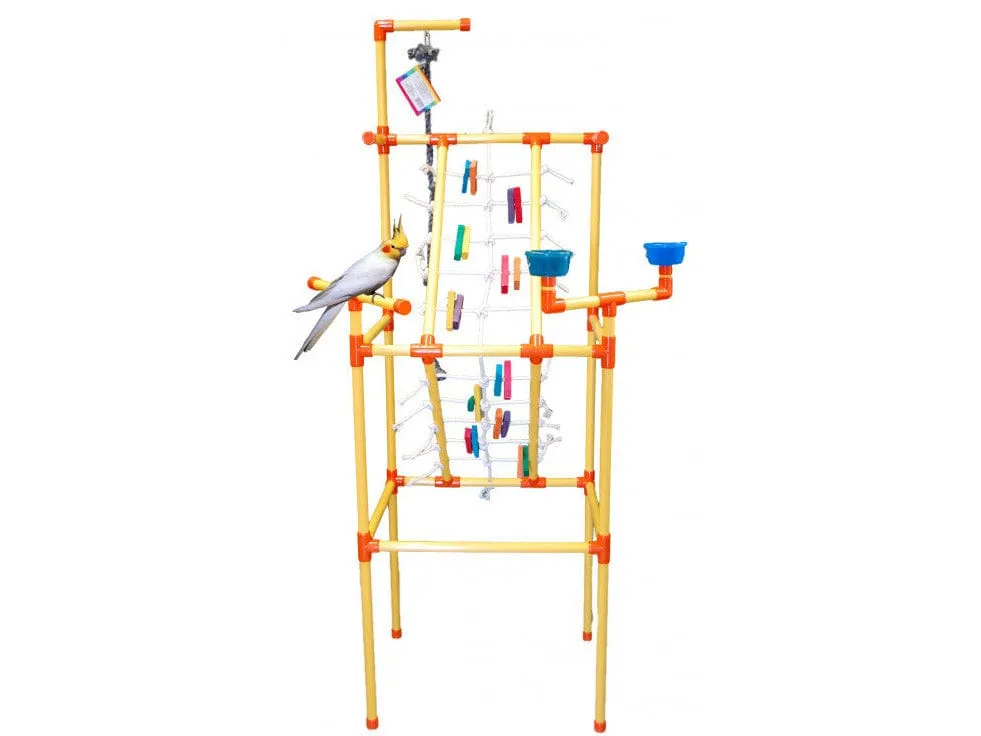 Play Gym