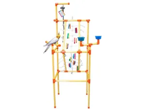 Play Gym