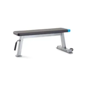 ProForm Carbon Strength Flat Bench