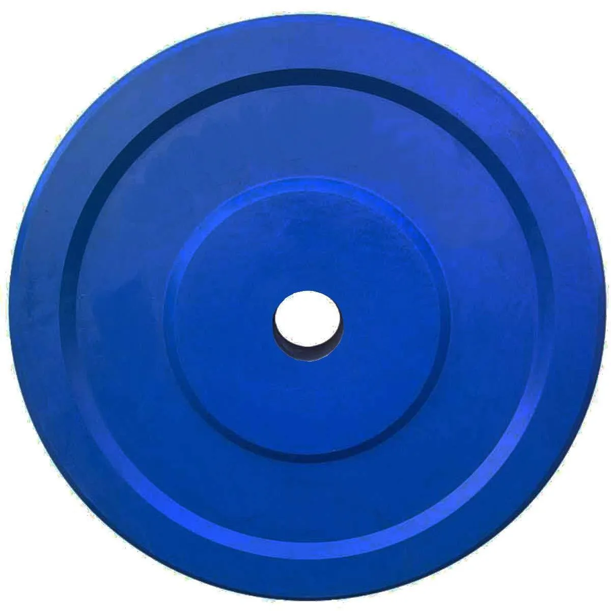Prokick Rubber Weight Plate with 28 MM Bore, Blue (Single)