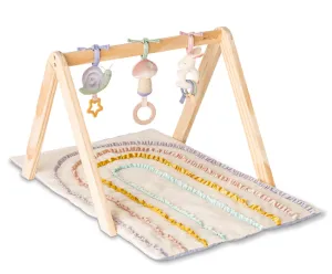 Ritzy Activity Gym Pastel