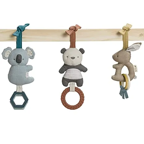 Ritzy Activity Gym