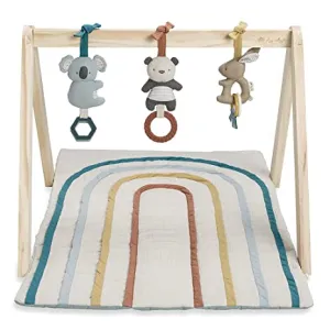 Ritzy Activity Gym