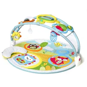 Skip Hop Explore & More Amazing Arch™ Activity Gym