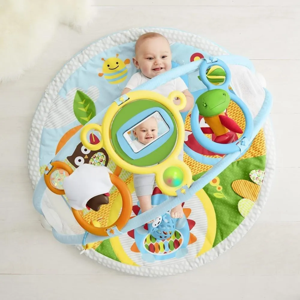 Skip Hop Explore & More Amazing Arch™ Activity Gym
