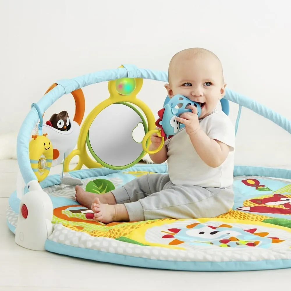 Skip Hop Explore & More Amazing Arch™ Activity Gym