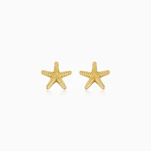 Starfish Studs