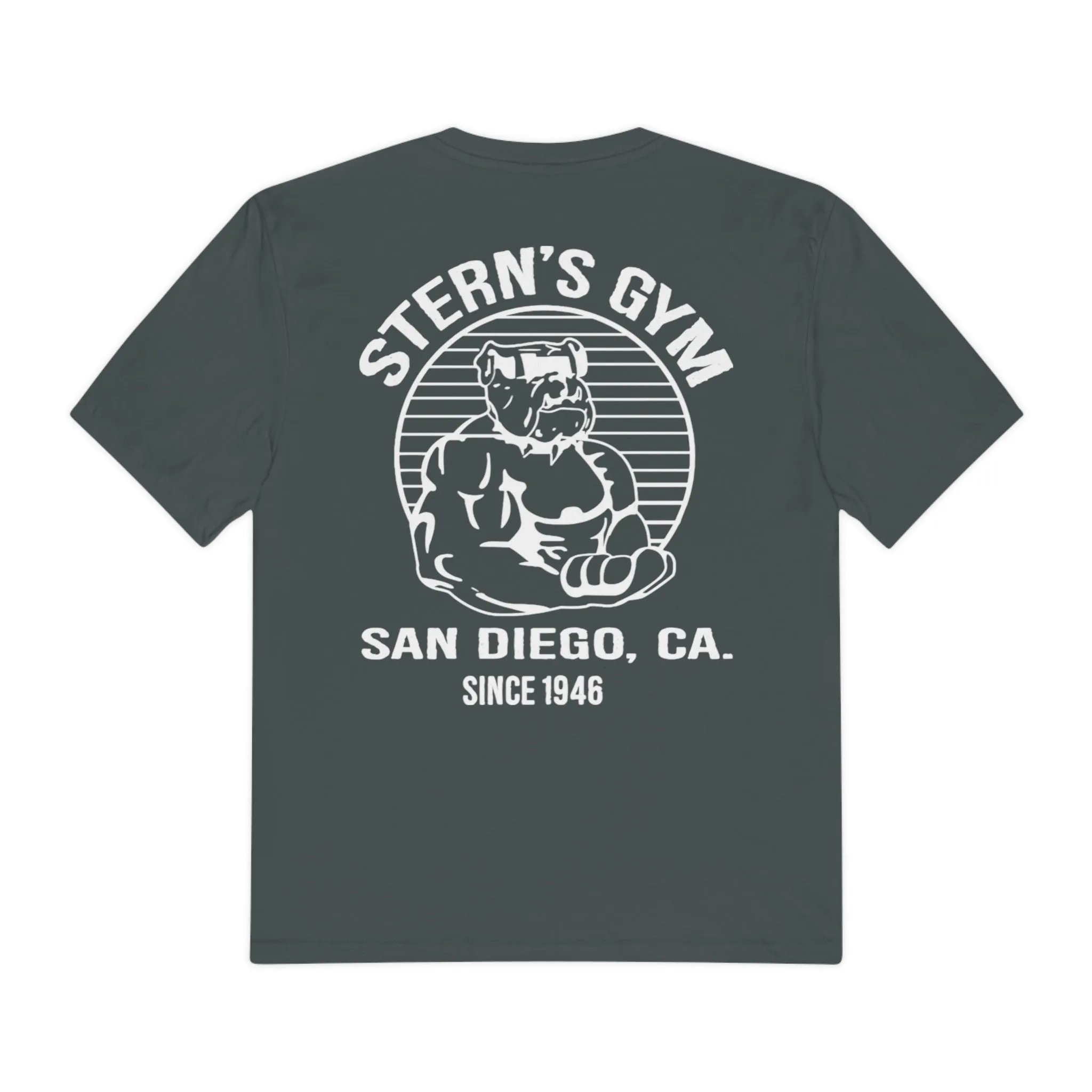 Stern's Gym Training Legends Shirt