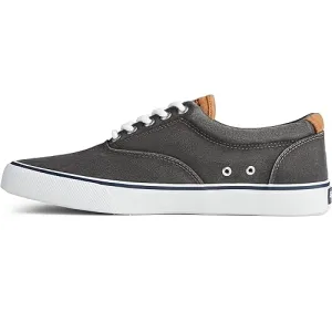Striper ll CVO Core - Men