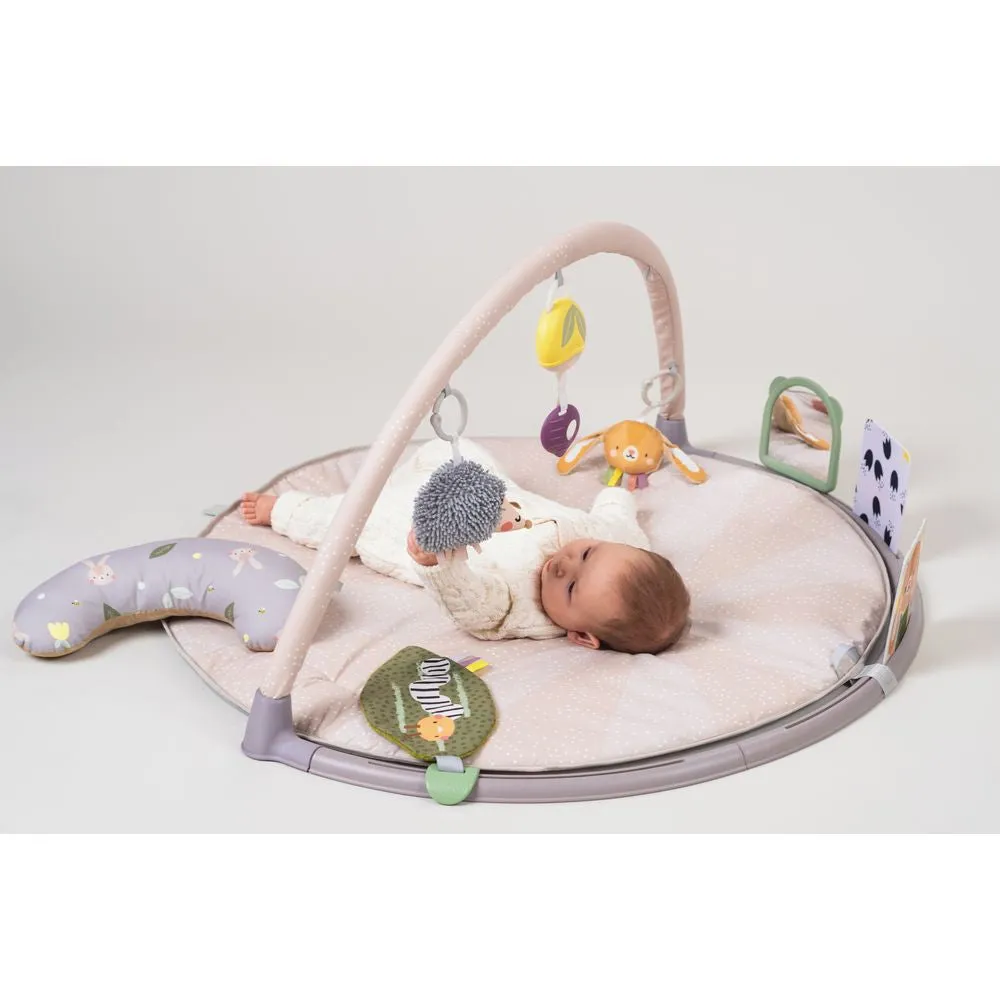 Taf Toys Tummy-time Activity Gym