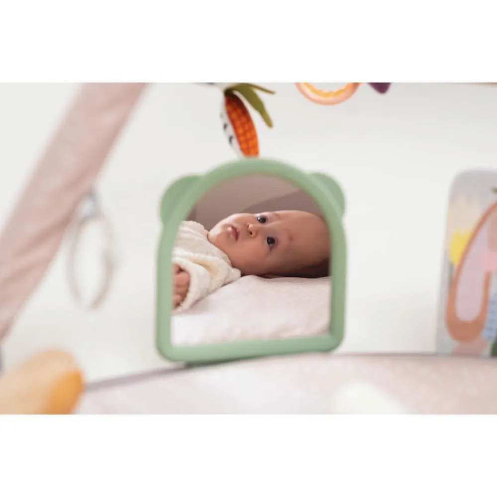 Taf Toys Tummy-time Activity Gym